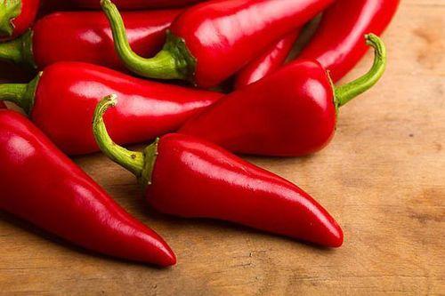 楠瓜喜欢吃辣椒吗视频