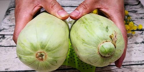 小瓜老了可以吃吗视频,揭秘能否食用老化的黄瓜