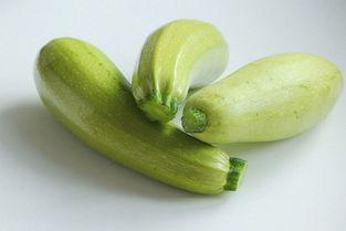 孩子吃茄瓜视频大全,趣味视频大全带你领略美味时光