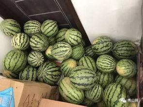 橙色酒吧吃瓜西宁视频大全,吃瓜视频大全，带你领略当地风情