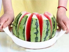 吃瓜背景纯音乐视频大全,跟随纯音乐视频，畅游音乐与视觉的瓜界盛宴