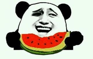 工地吃瓜的视频,揭秘建筑工地的趣味日常