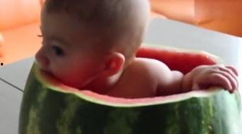 婴儿吃瓜视频,萌态十足引网友热议